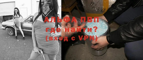 стафф Бородино
