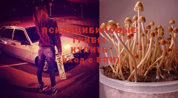 стаф Бугульма