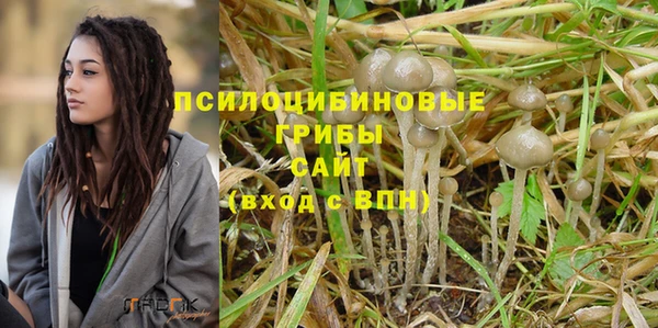 стафф Бородино