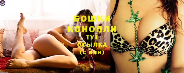 ПСИЛОЦИБИНОВЫЕ ГРИБЫ Богородск