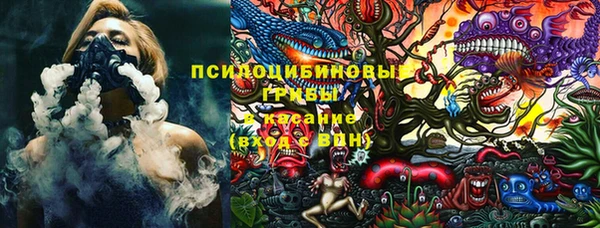 ALPHA-PVP Богородицк