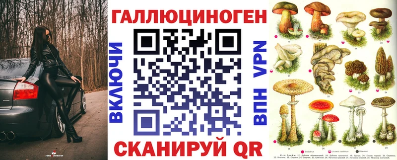 наркота  Краснознаменск  Псилоцибиновые грибы MAGIC MUSHROOMS 